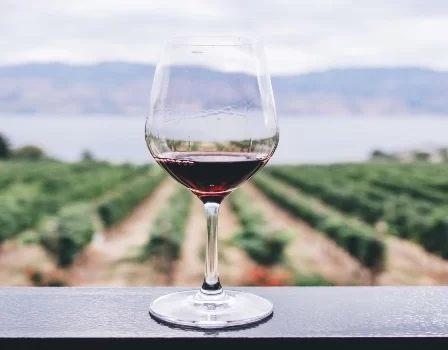 uma taça de vinho