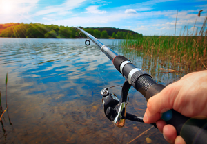 aplicativo de pesca