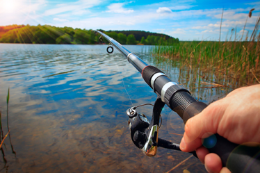 aplicativo de pesca